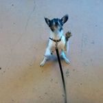 William Mike Stier - Instagram Profile Picture of William Mike Stier (@william.stier.1) on Instagram