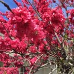 Profile Picture of Jody Bradshaw (@jody_bradshaw) on Instagram