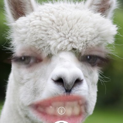Profile Picture of Leah Cox (@Leahcox40347794) on Twitter