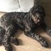 Profile Picture of Ray Johnston (@ray.johnston.52056) on Facebook