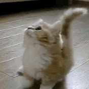 Profile Picture of Dani Morgan (@danimorgan5378) on Youtube