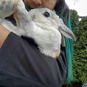 Profile Picture of bianca navarrette (@blancacruz409) on Pinterest