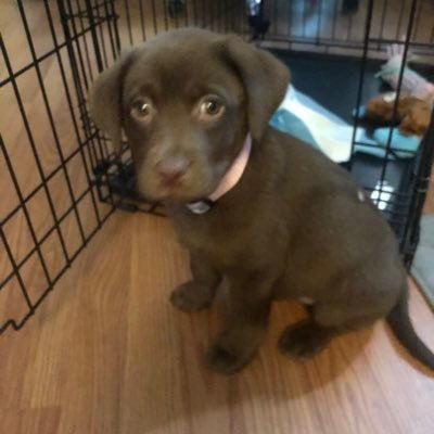 Profile Picture of Joel Paul (@joelpaul0402) on Twitter