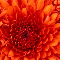 Profile Picture of Alex Stenman (@alex-stenman-2) on Quora