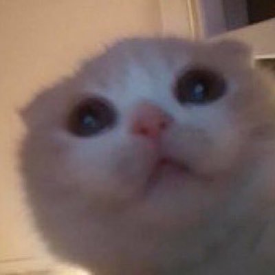 Profile Picture of 2k6 (@ProdBy2k6) on Twitter