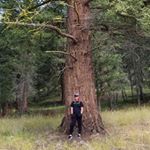 Lucy Turner - Instagram Profile Picture of Lucy Turner (@lucy.cornelia) on Instagram