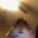 Profile Picture of Jerome Fryer (@2020jeromef) on Pinterest