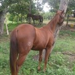 Profile Picture of yumare.yaracuy.. (@paulsotoamaro1979) on Instagram