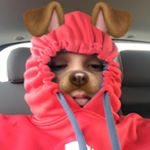 Profile Picture of Juan Gandarilla (@juangandarilla880) on Instagram