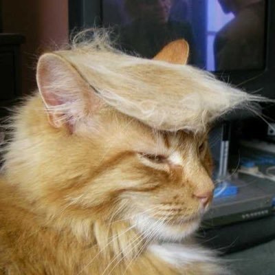 Profile Picture of Crump (@DanDeCrump) on Twitter