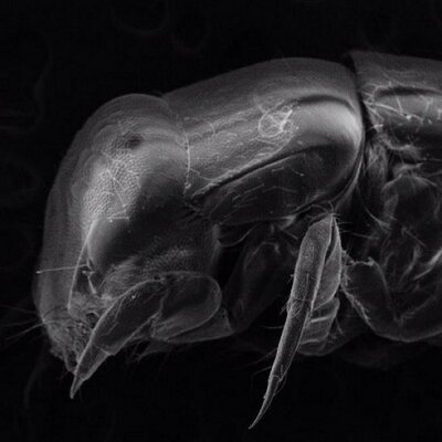 Profile Picture of Michael Shackleton (@MudgeShack) on Twitter