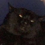 Profile Picture of Josh Compton (@josh.comptonn) on Instagram