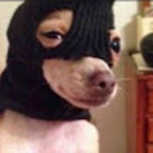 Profile Picture of Chloe Tang (@chloetxng) on Poshmark