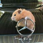 Profile Picture of Wojciech Jankowski (@wojciech.jankowski.3538) on Instagram