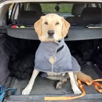 Profile Picture of Jimmy Pellet (@Jimmy-Pellet) on Facebook