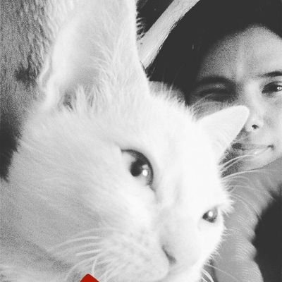 Profile Picture of Anam Khan (@Anam__Khan) on Twitter