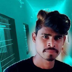 Profile Picture of David Barle (@davidbarle) on Tiktok