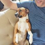 Profile Picture of Lucy Odom (@lucy_odom) on Instagram