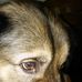 Profile Picture of Ronald E Nixon III (@ronald.nixon.923) on Facebook