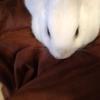 Profile Picture of Paula Bower (@@paulabower0) on Tiktok