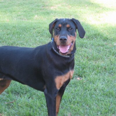 Profile Picture of Tom Wain (@twain05) on Twitter