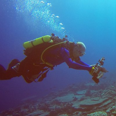 Profile Picture of Daniel Bayley (@DTIBayley) on Twitter