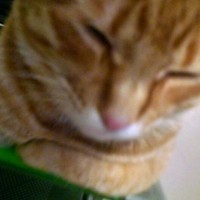 Profile Picture of Spencer Curtis (@spencer-curtis-7) on Quora