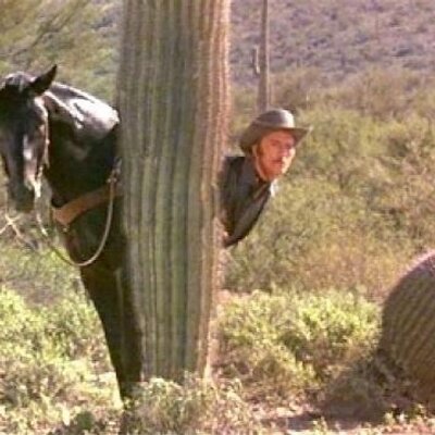 Profile Picture of Matthew Belcher (@brn2ranch) on Twitter