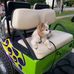 Profile Picture of nancy factor (@nancy.fackler.792) on Facebook