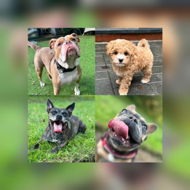 Profile Picture of Joanne Robinson (@joannerobinson0) on Tiktok