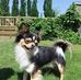 Profile Picture of Gerhard Schell (@gerhard.schell.395) on Facebook