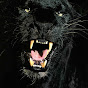 Profile Picture of Offcell2 (@@Offcell2) on Tiktok
