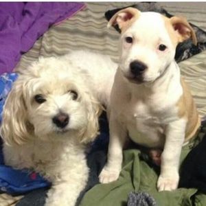 Profile Picture of Jane Posada (@jacesja) on Myspace