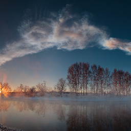 Profile Picture of Amberly Brad (@amberlyBradfor) on Twitter