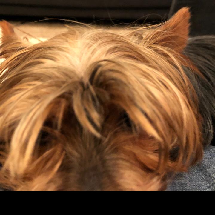 Profile Picture of Ceeday (@andrewlehrman2) on Tiktok