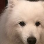 Profile Picture of Lars Ericsson (@pappalarsericsson) on Instagram