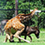 Profile Picture of David Jimeno Jiménez (@jimeno jimenez) on Flickr