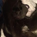 Profile Picture of Michele Rutter (@michelerutter) on Instagram
