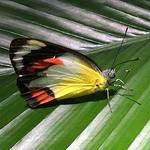 Profile Picture of Christopher Bottomley (@c.r.m.b.) on Flickr