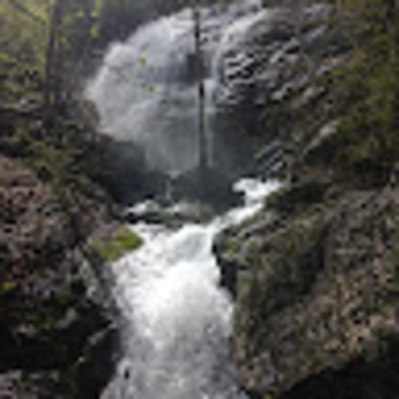 Profile Picture of Mrudula Pamireddy (@pamireddym) on Poshmark