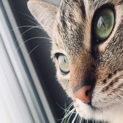 Profile Picture of ✨🙈💞Julie 💞🙈✨ (@juliamolak2) on Tiktok