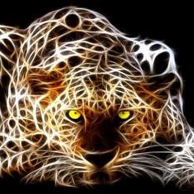 Profile Picture of Tom Crouch (@TomCrouching) on Twitter