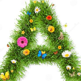 Profile Picture of Alejandra Mayorga Macias (@alejandramayorgamacias) on Pinterest