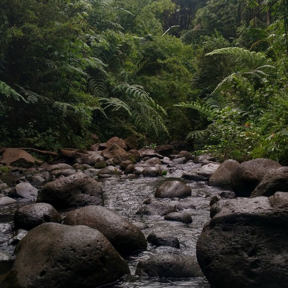 Profile Picture of Evan Bregier (@evbregier) on Poshmark