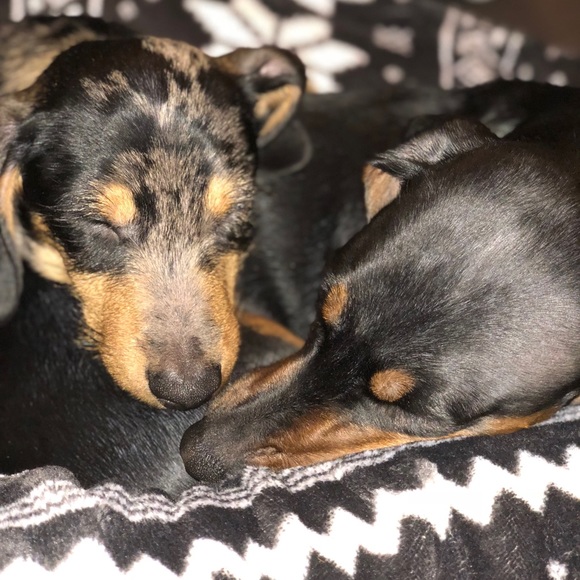 Profile Picture of Normando Sandoval (@normanecraft) on Poshmark