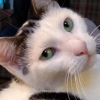 Profile Picture of Amy Repasky (@amy-repasky) on Quora