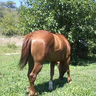 Profile Picture of Kevin Mansilla (@Kevin-Mansilla) on Facebook