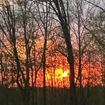 Profile Picture of Phyllis Perry (@Phyllis-Perry) on Facebook