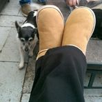 Profile Picture of Robyn Field (@robyn.field.54) on Facebook