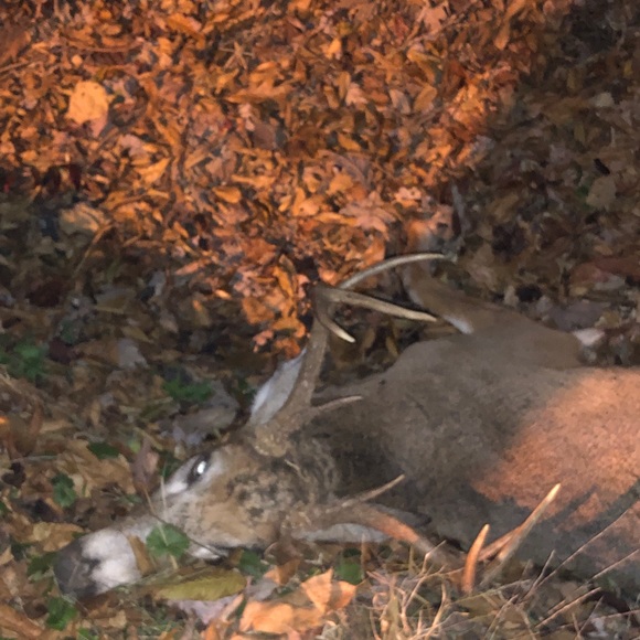 Profile Picture of Elijah Kroutter (@ekroutter) on Poshmark